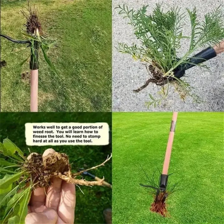 Sikunuo | Removable Weed Removal Tool