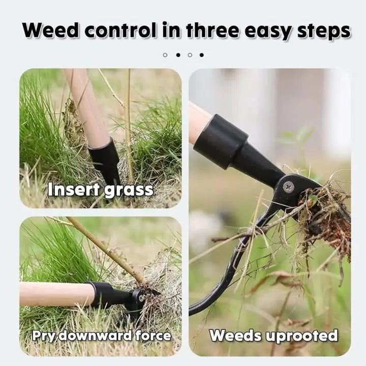 Sikunuo | Removable Weed Removal Tool