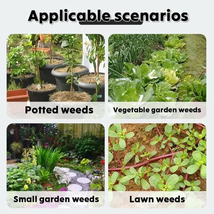 Sikunuo | Removable Weed Removal Tool