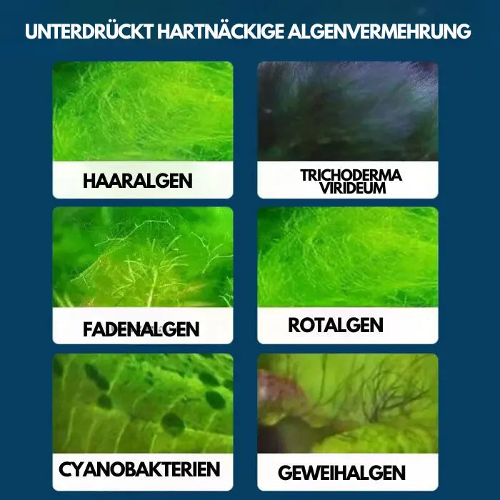 Sikunuo | Aquarium Water Cleaner Solution