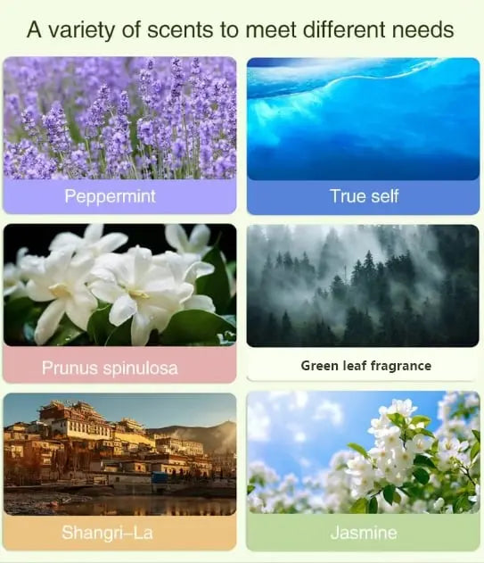 Sikunuo | Automatic Aromatherapy Diffuser – 5-level Timer with Highly Pure Essential Oil