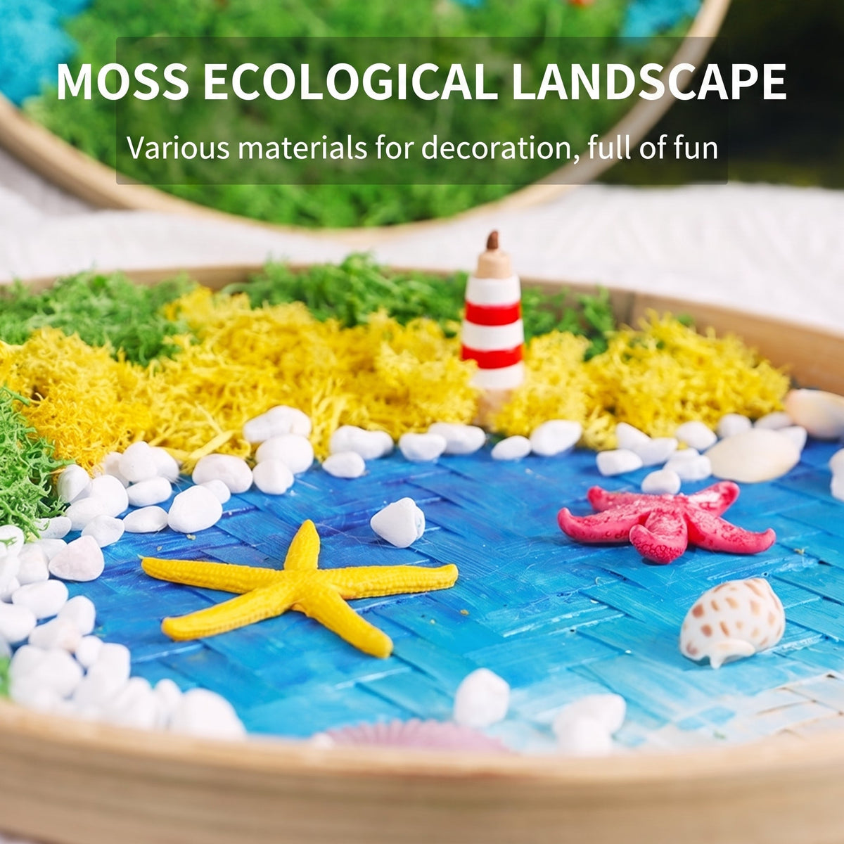 DIY Preserved Moss Art Kit with Bamboo Frame