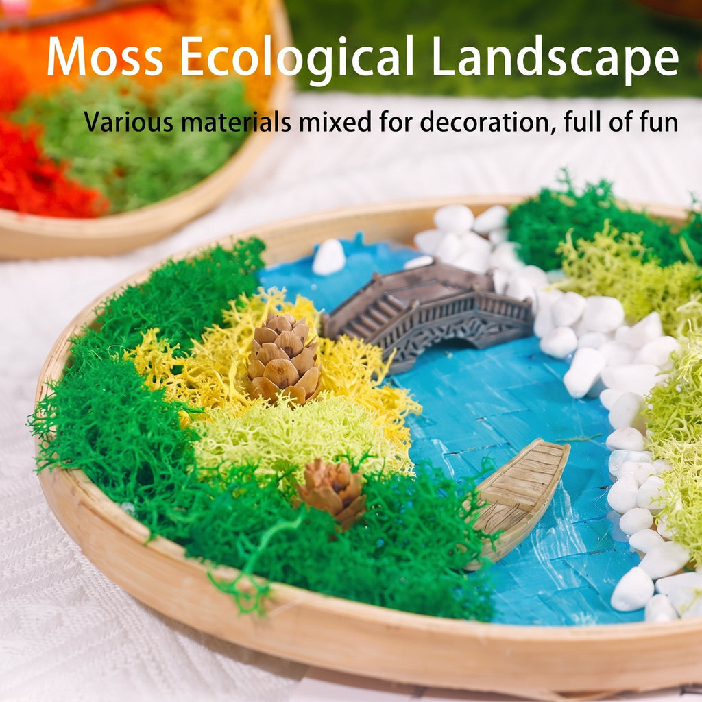 DIY Preserved Moss Art Kit with Bamboo Frame