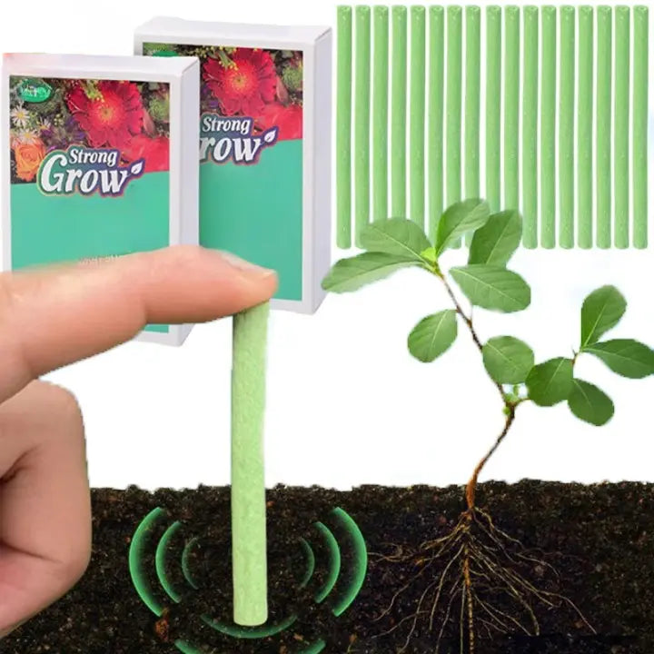 Sikunuo | Easy-to-use plant nutrient sticks for vibrant growth