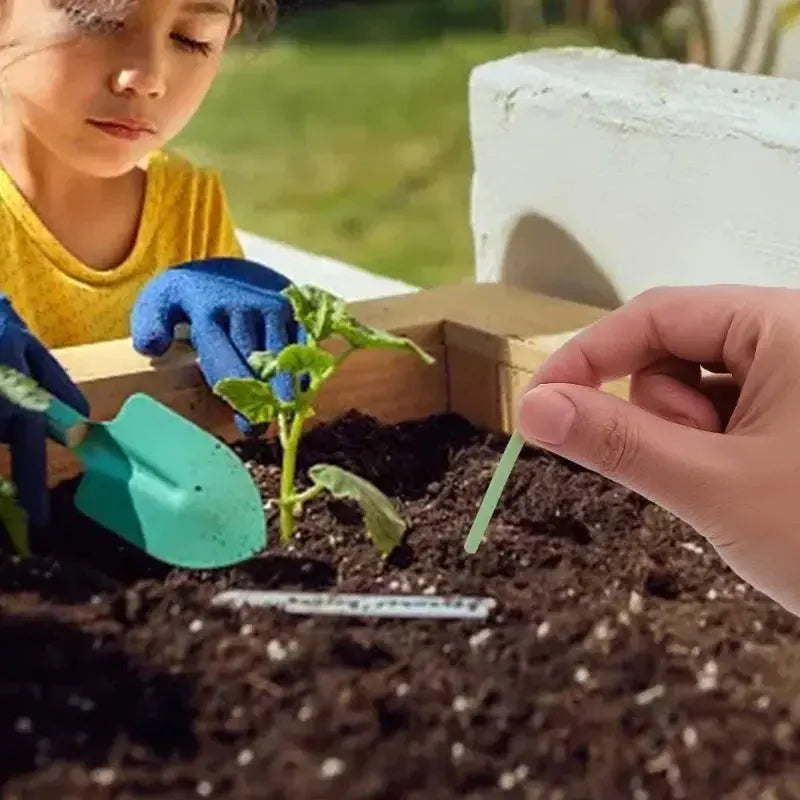 Sikunuo | Easy-to-use plant nutrient sticks for vibrant growth