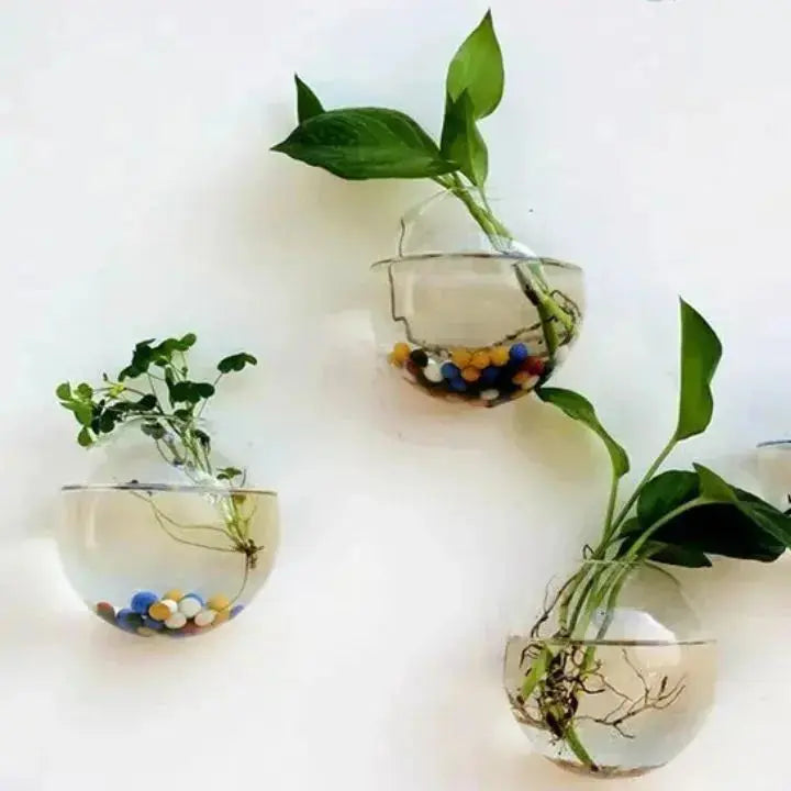 Sikunuo | Elegant Glass Wall Vases – For Cuttings & Decor