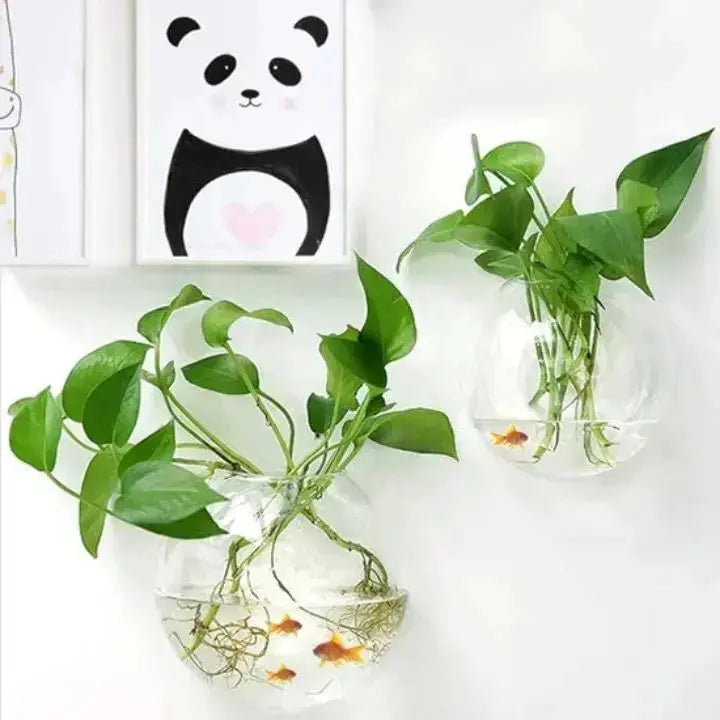 Sikunuo | Elegant Glass Wall Vases – For Cuttings & Decor