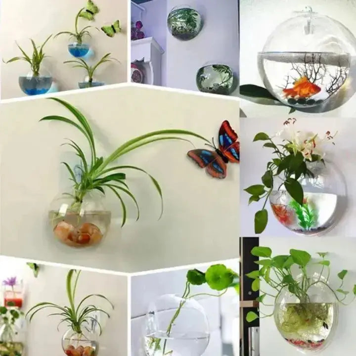 Sikunuo | Elegant Glass Wall Vases – For Cuttings & Decor