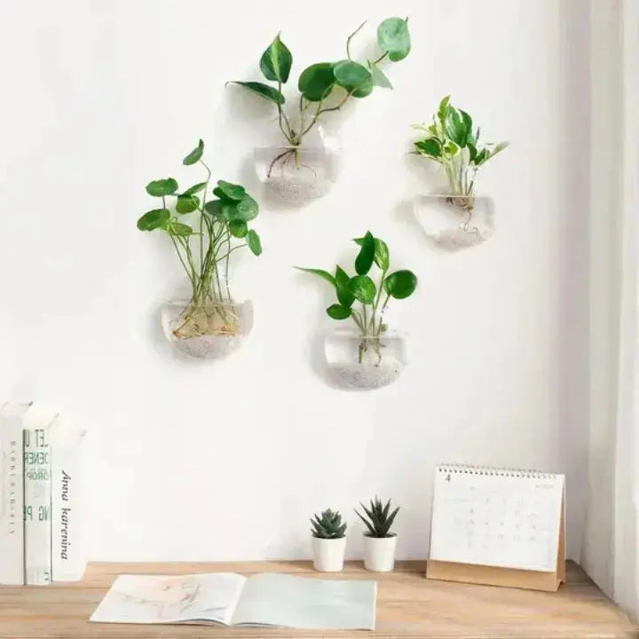 Sikunuo | Elegant Glass Wall Vases – For Cuttings & Decor