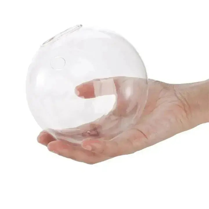 Sikunuo | Elegant Glass Wall Vases – For Cuttings & Decor