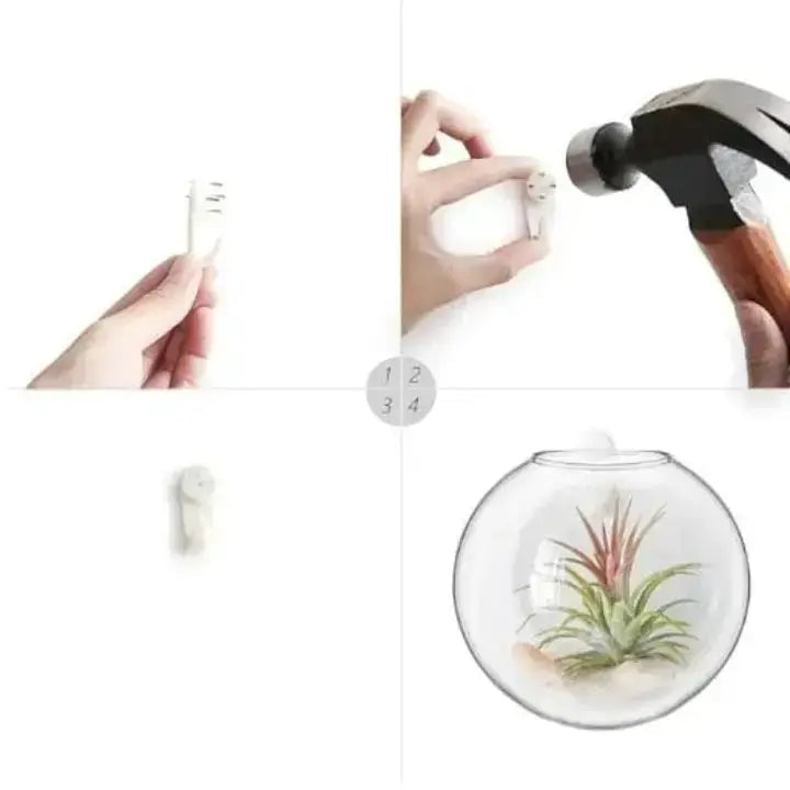 Sikunuo | Elegant Glass Wall Vases – For Cuttings & Decor