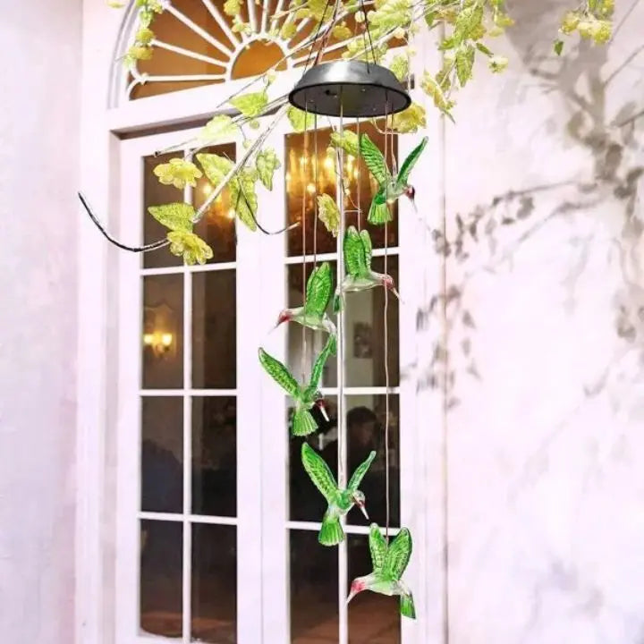 Sikunuo | Elegant Solar-Powered Garden Lights
