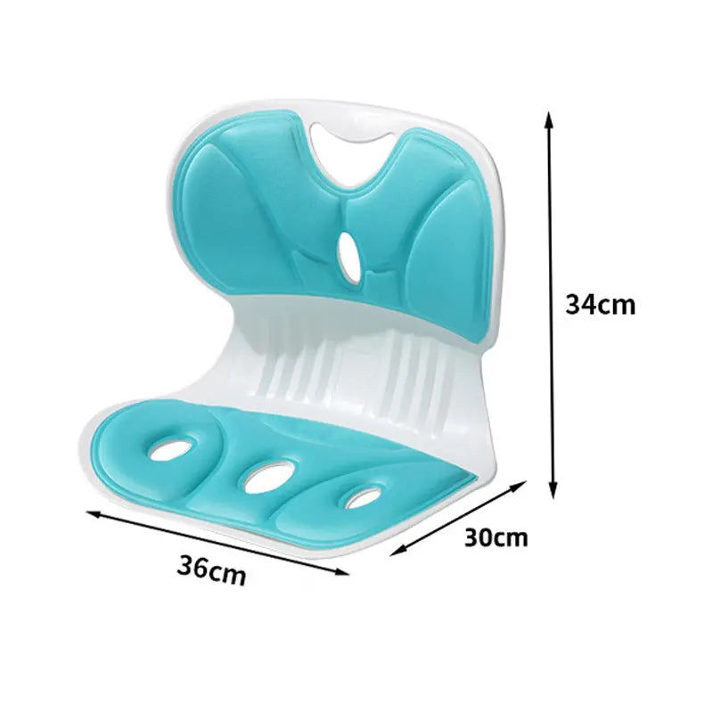 Sikunuo | Ergonomic Lumbar Support Cushion
