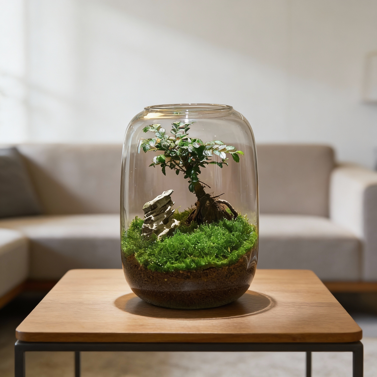 Sikunuo | Micro Landscape Glass Vase | Clear Terrarium Planter for Succulents & Home Decor