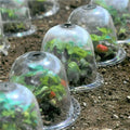 Sikunuo | Frost Protection Clear Garden Plant Cover