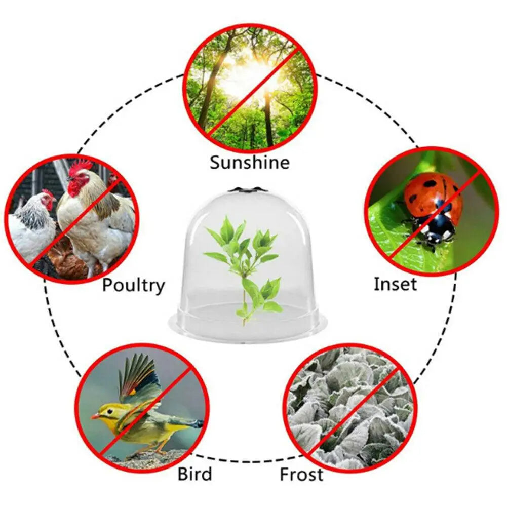 Sikunuo | Frost Protection Clear Garden Plant Cover