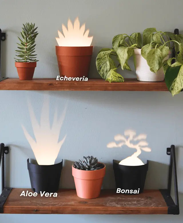 Sikunuo | Garden-Graveyard-Plant Pot with LED Light Projection