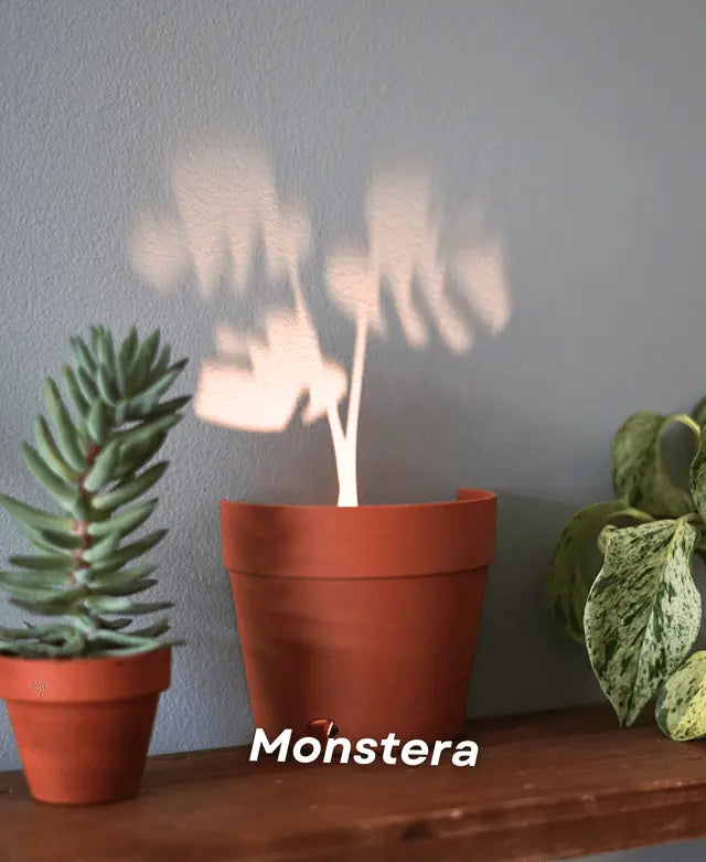 Sikunuo | Garden-Graveyard-Plant Pot with LED Light Projection