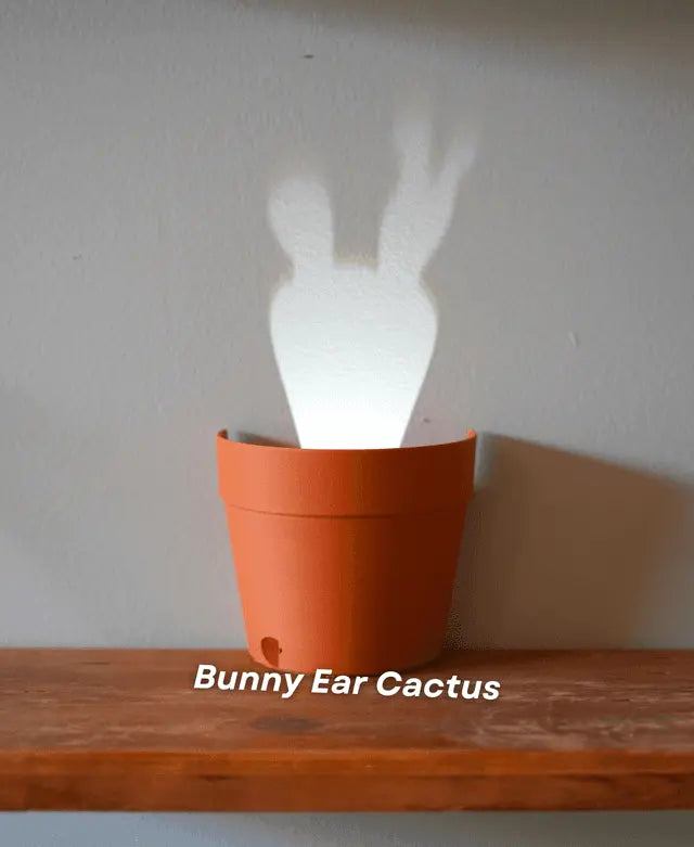 Sikunuo | Garden-Graveyard-Plant Pot with LED Light Projection