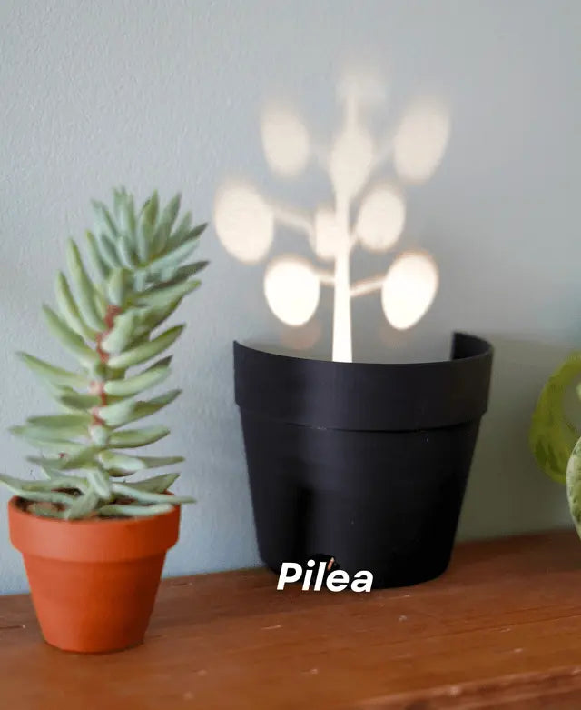 Sikunuo | Garden-Graveyard-Plant Pot with LED Light Projection