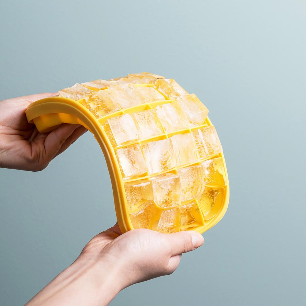 Sikunuo | Double Layer Ice Mold Storage Box