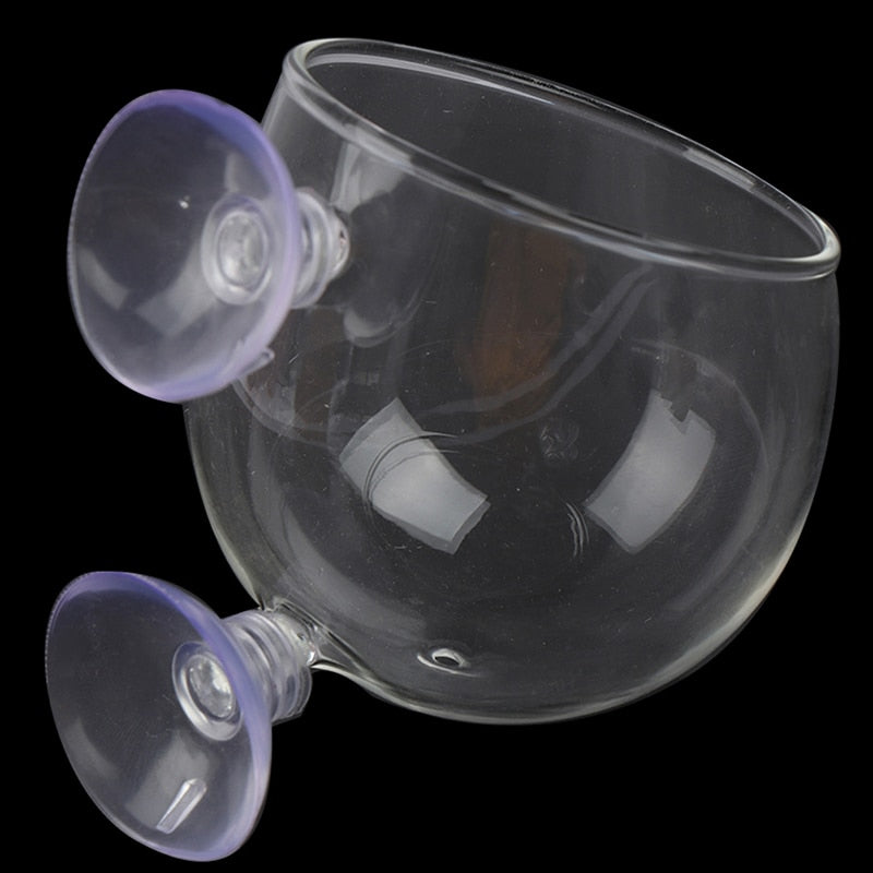 Sikunuo | Creative Aquarium Fish Tank Glass Vase