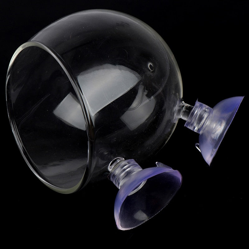 Sikunuo | Creative Aquarium Fish Tank Glass Vase