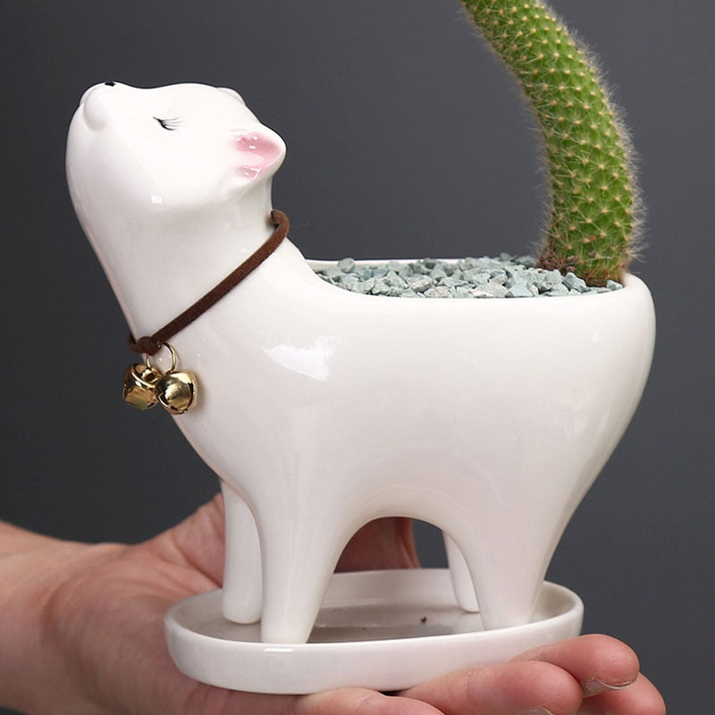 Sikunuo | Rising Cat Ceramic Flower Pot