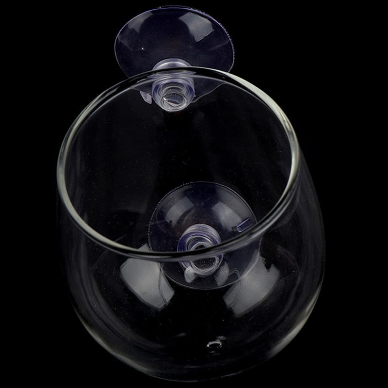Sikunuo | Creative Aquarium Fish Tank Glass Vase