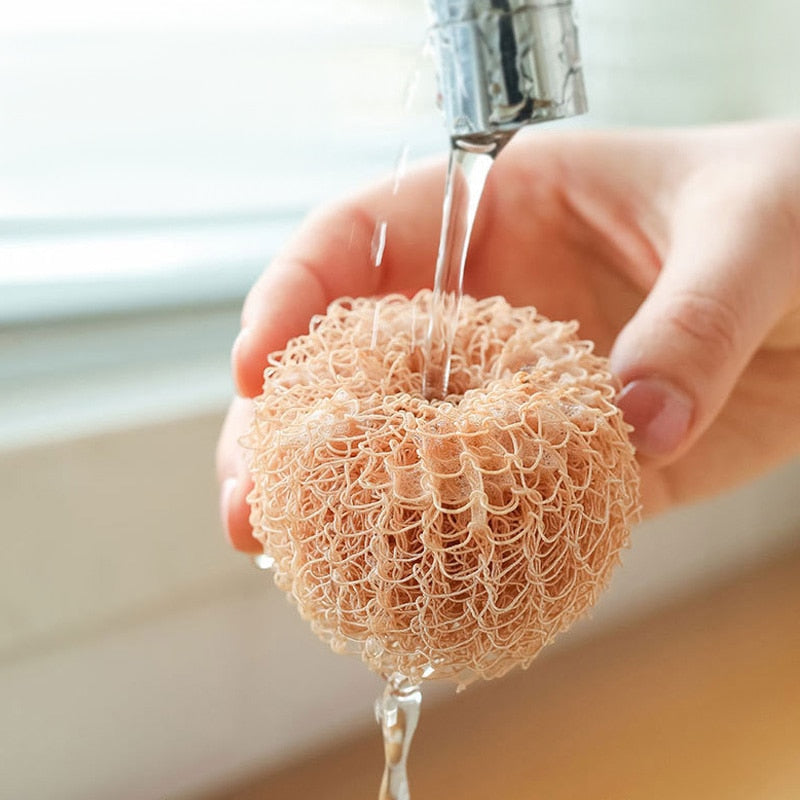 Sikunuo | Surprise Egg Kitchen Cleaning Brush