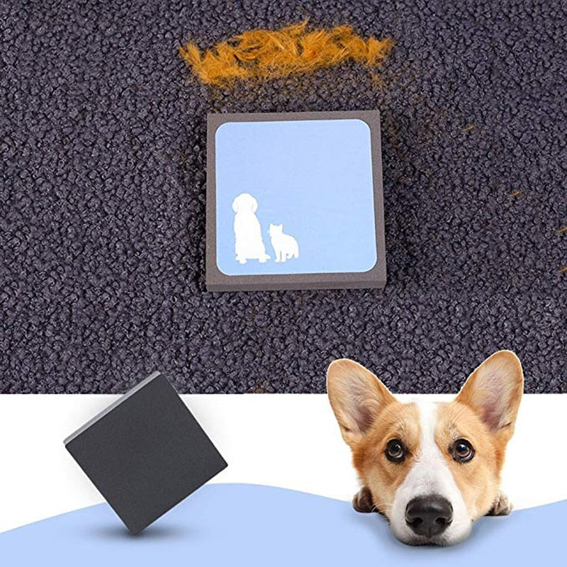 Sikunuo | Static Electric Pet Hair Fur Remover