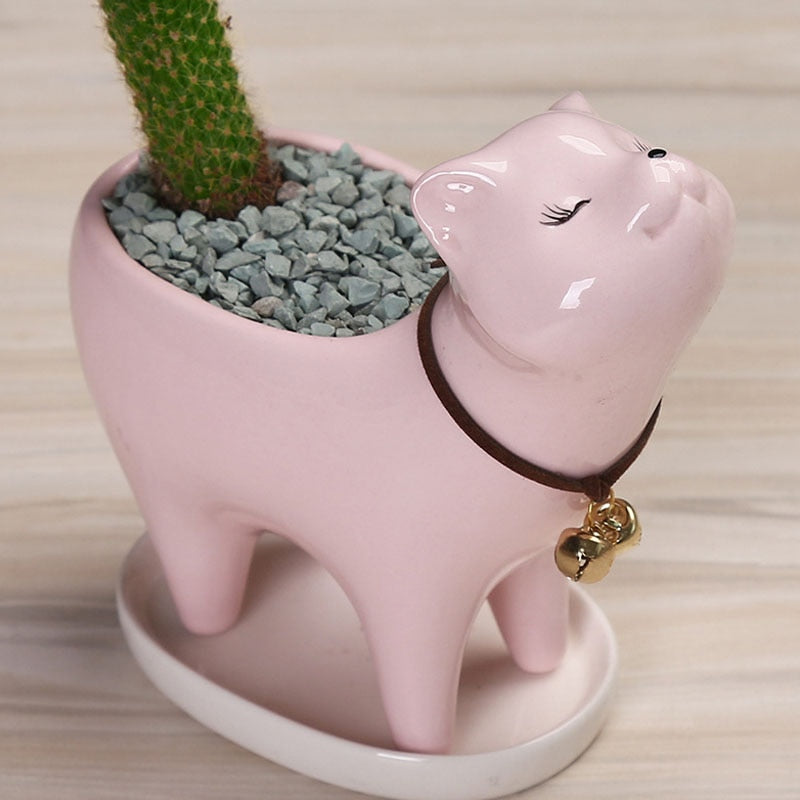 Sikunuo | Rising Cat Ceramic Flower Pot