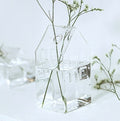 Sikunuo | Simple Mini House Glass Flower Vase