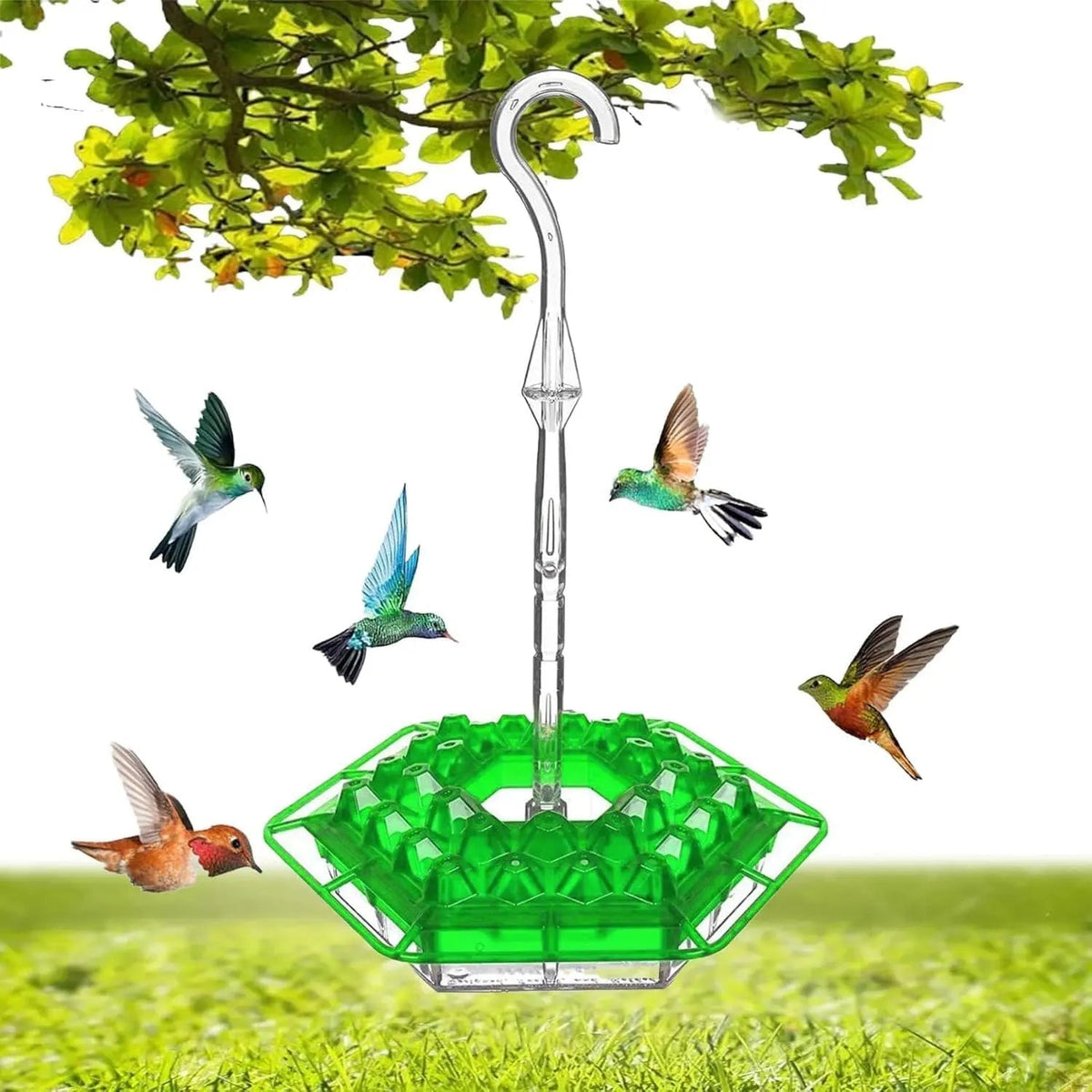 Sikunuo | Kolibri Feeder to Hang – For a Lively Garden Full of Color and Life