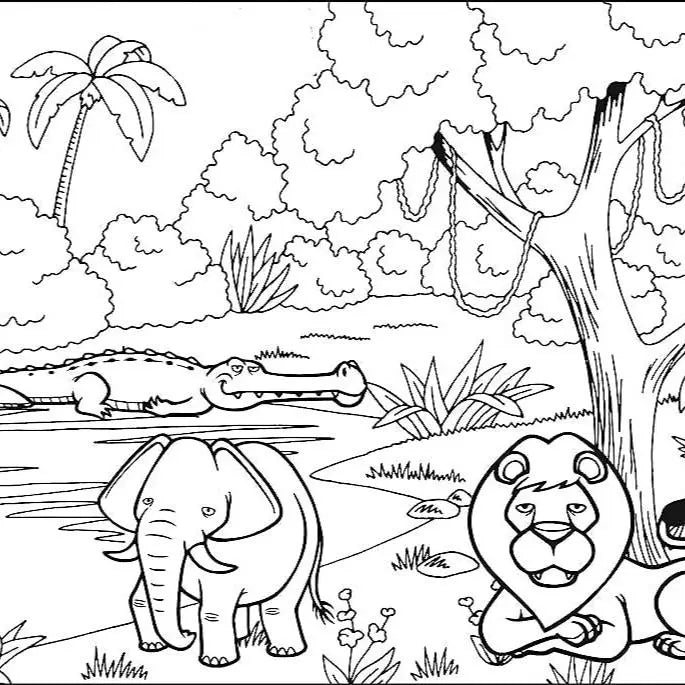 Sikunuo | Creative roll for kids – Endless fun for young artists
