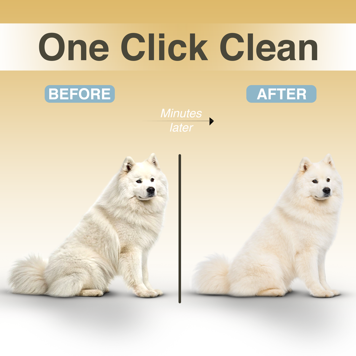 1Vexroan Hydra Mist Self-Cleaning Brush