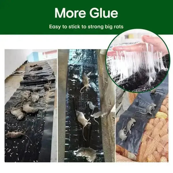 Sikunuo | Extra Strong Rat Sticky Trap