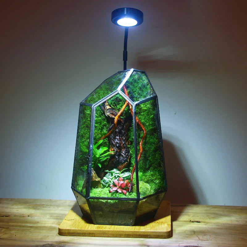 Sikunuo | Modern Geometric Nature-Inspired Botanical Terrarium