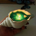Sikunuo | Handmade Sea Shell Starfish Aromatherapy Candle