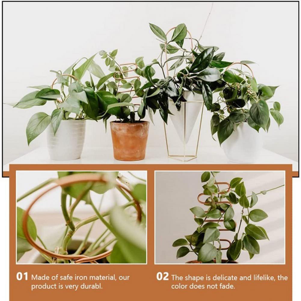 Sikunuo | Nordic Plant Climbing Rack