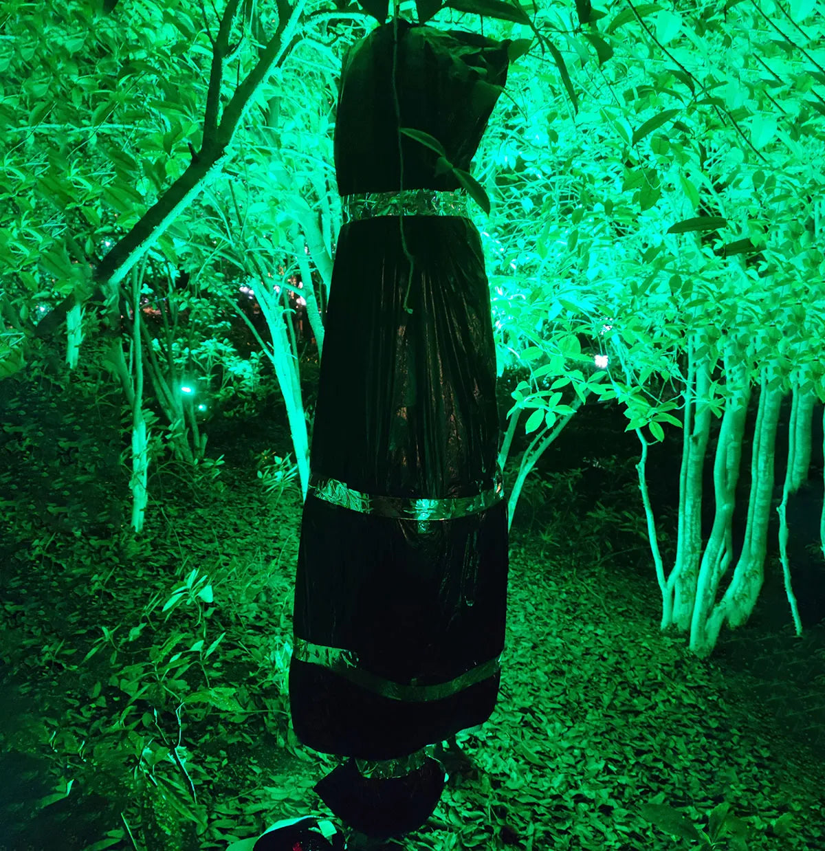 Sikunuo | Haunted House Creepy Inflatable