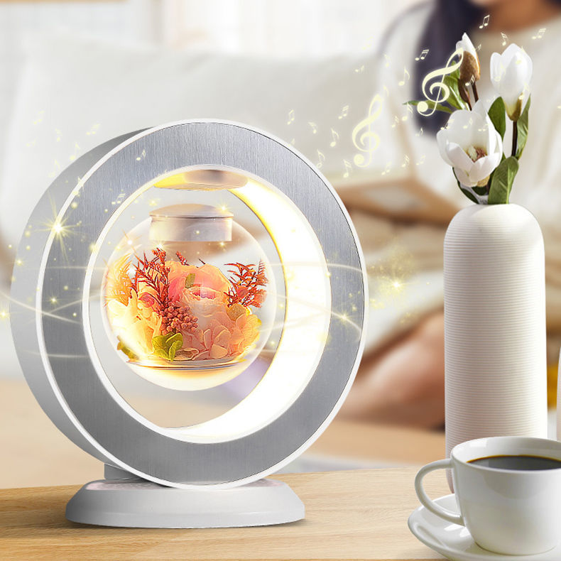 Sikunuo | Magic Flower Magnetic Levitation Lamp