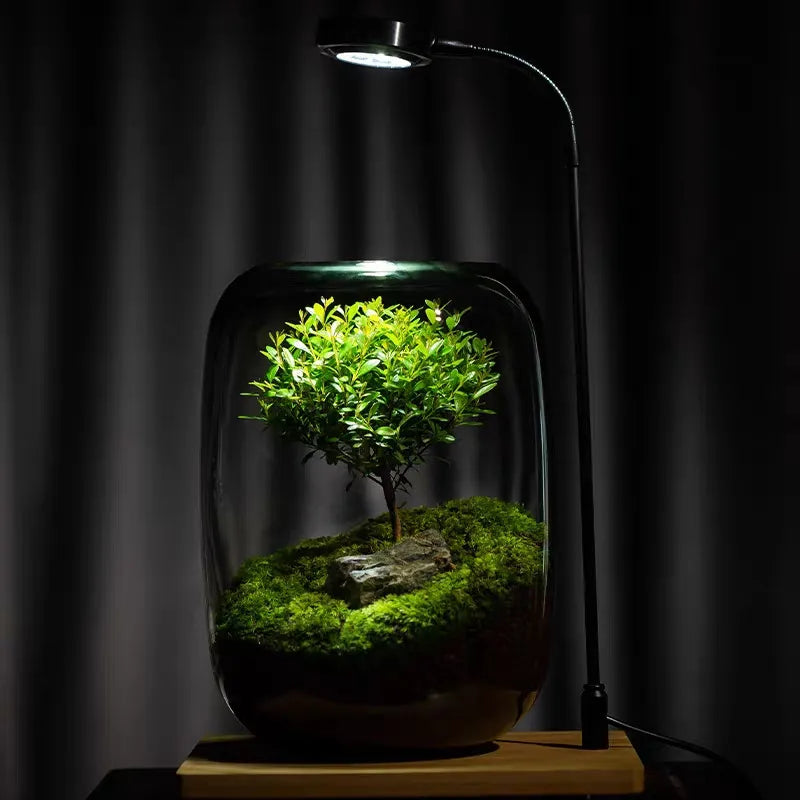 Sikunuo | Micro Landscape Glass Vase | Clear Terrarium Planter for Succulents & Home Decor