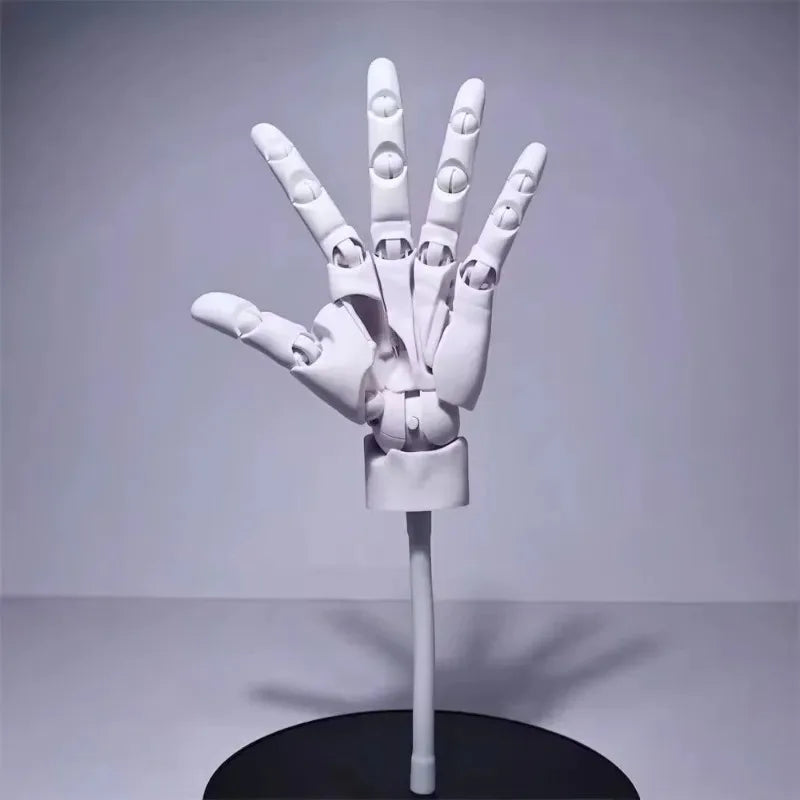 Sikunuo | Multi-Pose Drawing Sculpting Art Hand Model