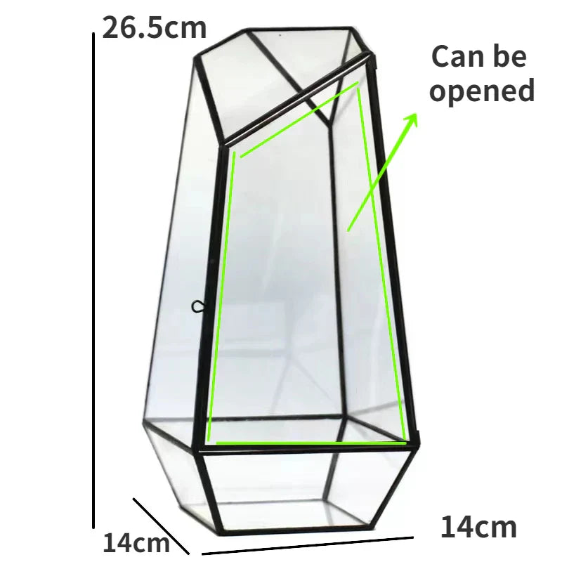 Sikunuo | Modern Geometric Nature-Inspired Botanical Terrarium