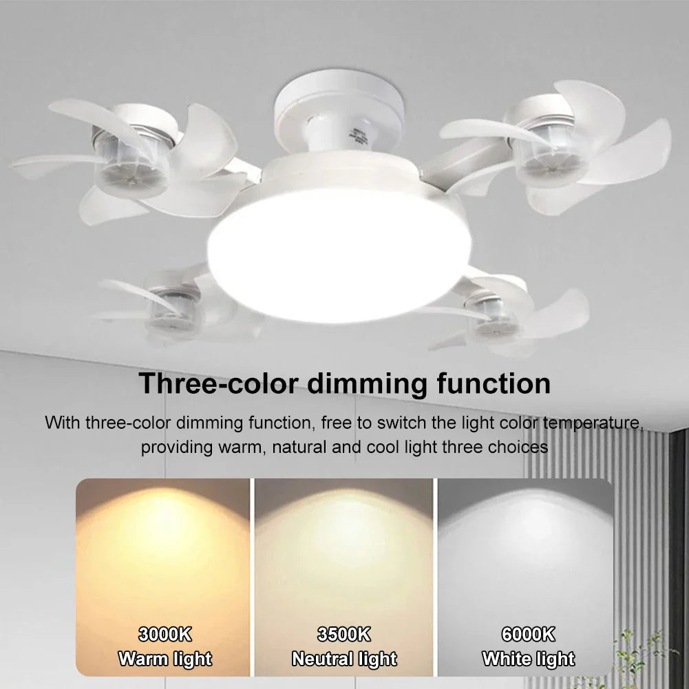 Sikunuo | Sky Light LED Ceiling Fan Lamp