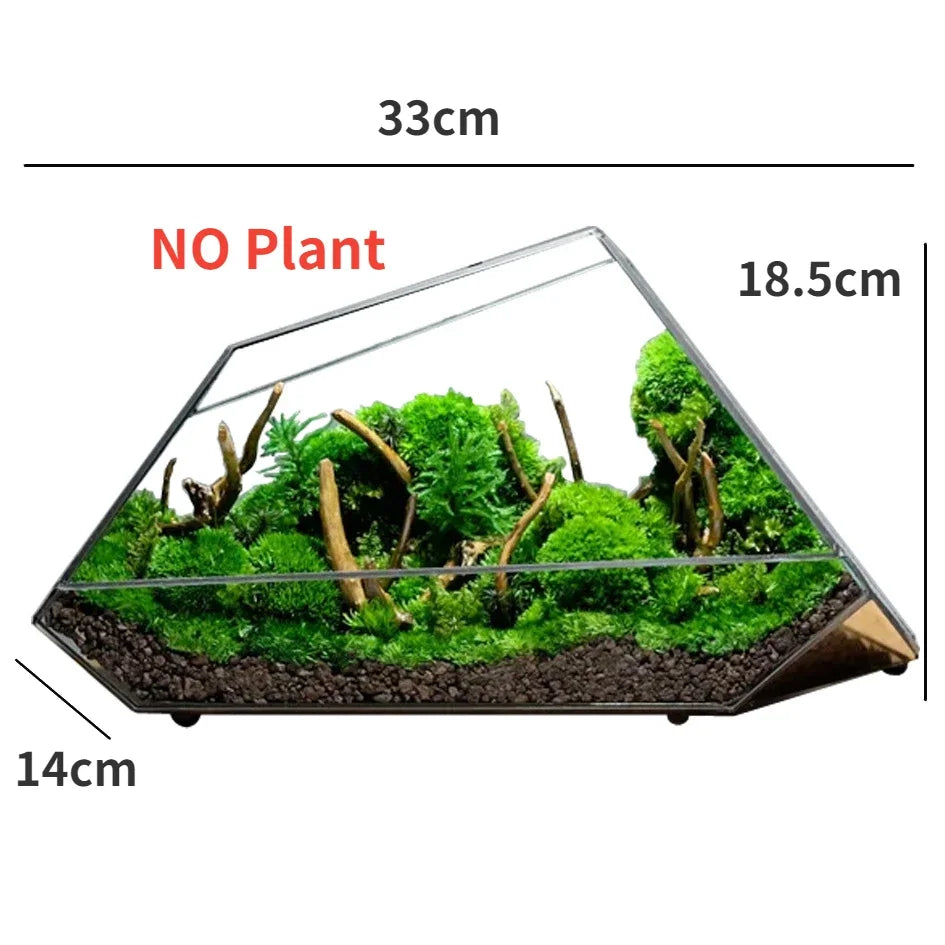 Sikunuo | Geometric Glass Moss Planter Terrarium Vase
