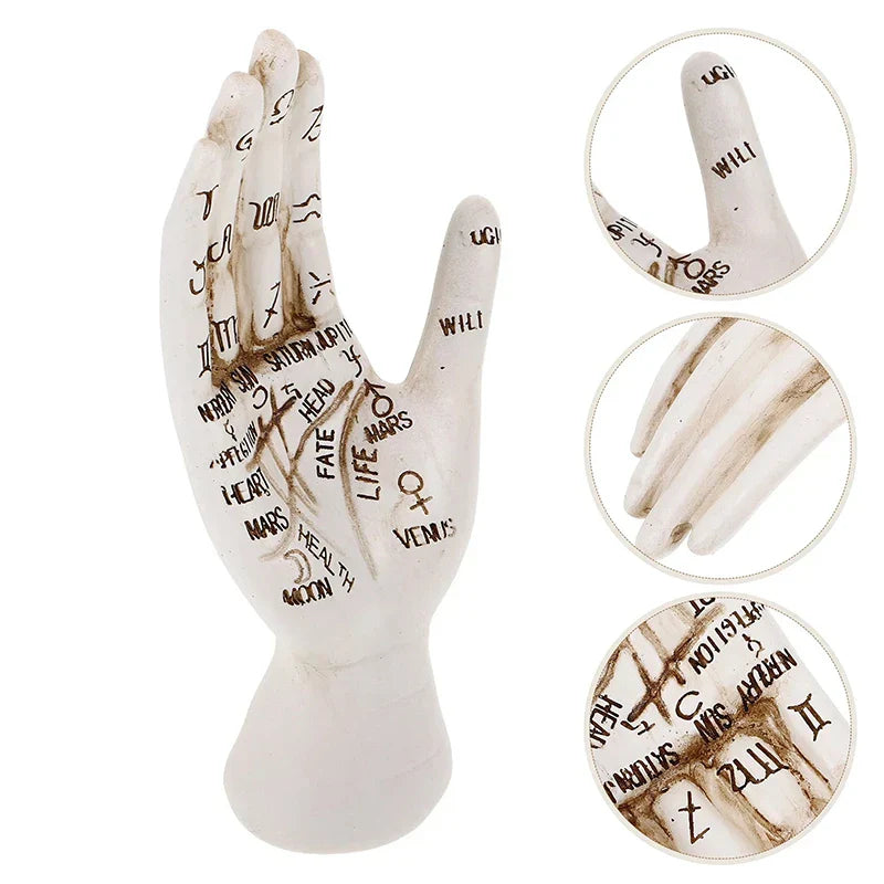 Sikunuo | Zodiac Symbols Mystic Palmistry Hand Sculpture
