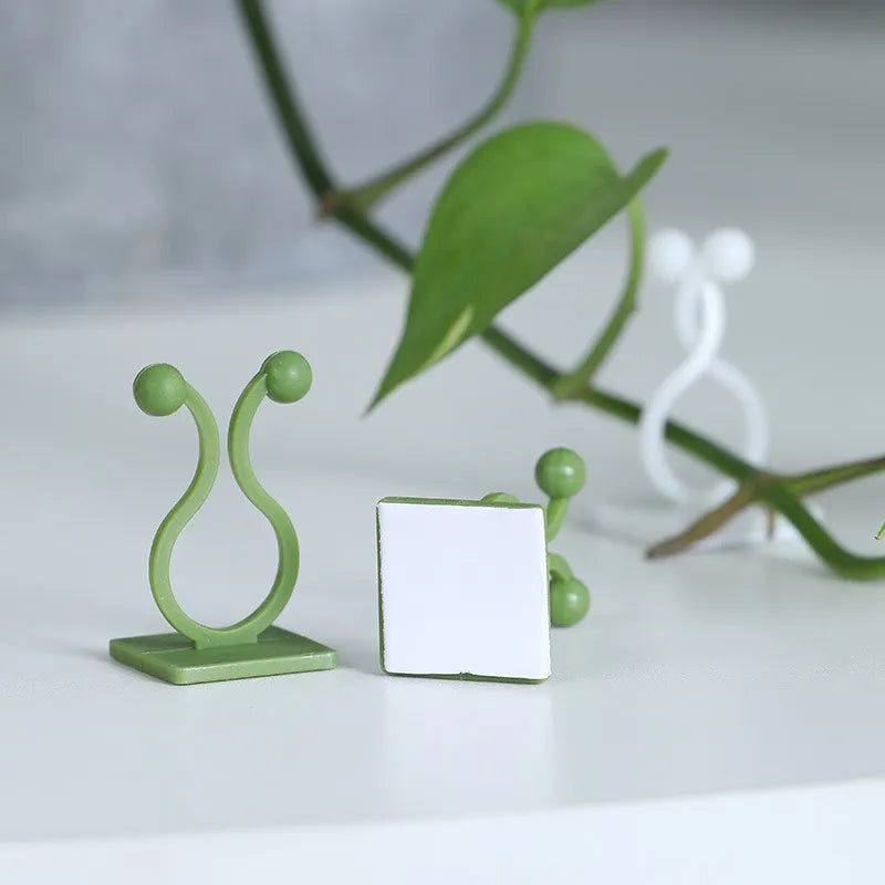 Sikunuo | Self-Adhesive Plant Holder Mini Wall Clips
