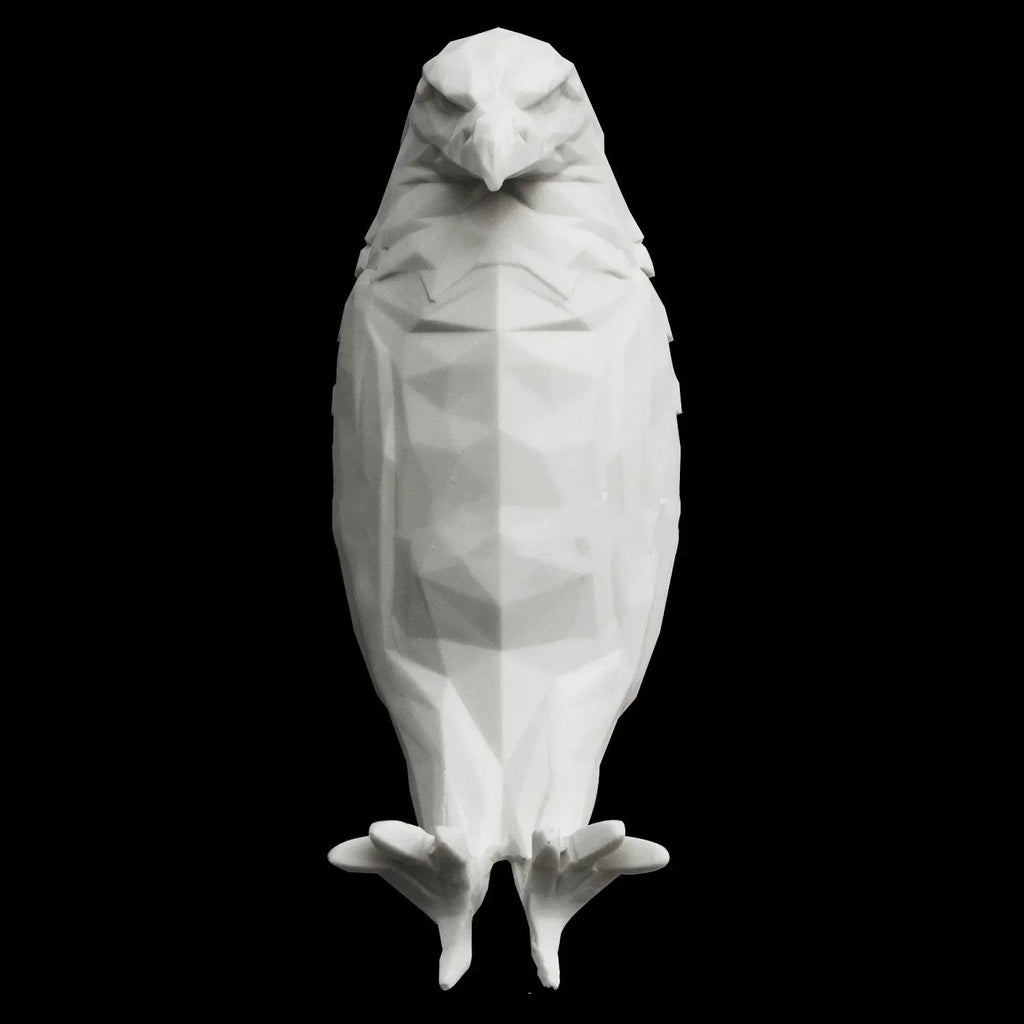 Sikunuo | 3D Eagle Wall Projection Lamp